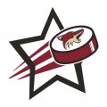 Arizona Coyotes Hockey Goal Star logo decal sticker