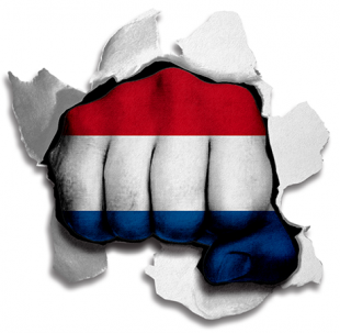 Fist Netherlands Flag Logo Sticker Heat Transfer
