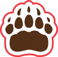 Brown Bears 1997-Pres Secondary Logo Sticker Heat Transfer