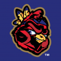 Peoria Chiefs 1996-2004 Cap Logo Sticker Heat Transfer