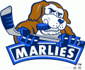 Toronto Marlies 2008 09-2009 10 Alternate Logo decal sticker