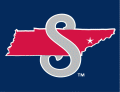 Tennessee Smokies 2010-2014 Cap Logo Sticker Heat Transfer