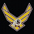 Airforce Washington Redskins logo decal sticker