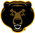 Baylor Bears 2005-2018 Alternate Logo 07 Sticker Heat Transfer