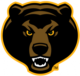 Baylor Bears 2005-2018 Alternate Logo 07 decal sticker