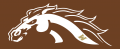 Western Michigan Broncos 2016-Pres Misc Logo Sticker Heat Transfer