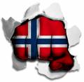 Fist Norwayc Flag Logo decal sticker