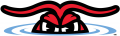 Hickory Crawdads 2016-Pres Alternate Logo 2 Sticker Heat Transfer