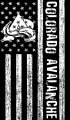 Colorado Avalanche Black And White American Flag logo decal sticker