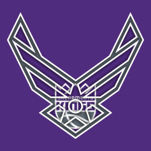 Airforce Sacramento Kings logo decal sticker