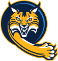 Quinnipiac Bobcats 2019-Pres Alternate Logo 03 decal sticker