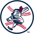 Cleveland Indians 1973-1978 Alternate Logo Sticker Heat Transfer