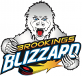 Brookings Blizzard 2012 13-2015 16 Primary Logo decal sticker