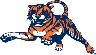 Auburn Tigers 1982-1997 Alternate Logo Sticker Heat Transfer