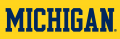 Michigan Wolverines 1996-Pres Wordmark Logo 01 decal sticker