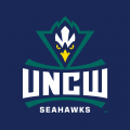 NC-Wilmington Seahawks 2015-Pres Alternate Logo 02 decal sticker