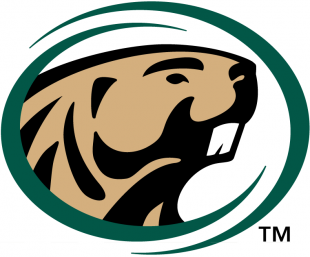 Bemidji State Beavers 2004-Pres Primary Logo Sticker Heat Transfer