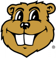 Minnesota Golden Gophers 1986-Pres Mascot Logo 02 Sticker Heat Transfer