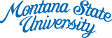 Montana State Bobcats 1960-1978 Wordmark Logo 02 decal sticker