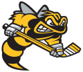 Sarnia Sting 2019 20-Pres Primary Logo Sticker Heat Transfer