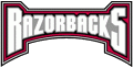 Arkansas Razorbacks 2001-2008 Wordmark Logo Sticker Heat Transfer