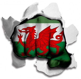 Fist Wales Flag Logo Sticker Heat Transfer