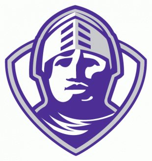 Furman Paladins 2004-2012 Alternate Logo decal sticker