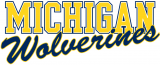 Michigan Wolverines 1996-Pres Wordmark Logo 07 Sticker Heat Transfer
