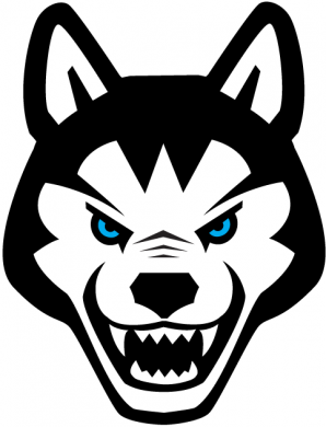 Northeastern Huskies 2001-2006 Alternate Logo 01 decal sticker