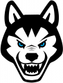 Northeastern Huskies 2001-2006 Alternate Logo 01 decal sticker