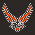 Airforce Philadelphia Flyers Logo Sticker Heat Transfer