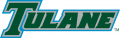 Tulane Green Wave 2014-Pres Wordmark Logo 04 Sticker Heat Transfer