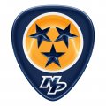 Nashville Predators Crystal Logo Sticker Heat Transfer