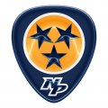 Nashville Predators Crystal Logo decal sticker