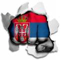 Fist Serbia Flag Logo Sticker Heat Transfer