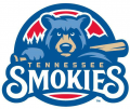 Tennessee Smokies 2015-Pres Primary Logo Sticker Heat Transfer
