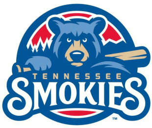 Tennessee Smokies 2015-Pres Primary Logo decal sticker