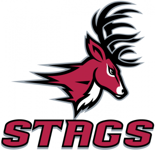 Fairfield Stags 2002-Pres Alternate Logo 03 decal sticker