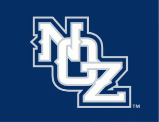 New Orleans Zephyrs 2010-2016 Cap Logo Sticker Heat Transfer