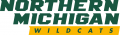 Northern Michigan Wildcats 2016-Pres Alternate Logo 04 decal sticker