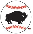 Buffalo Bisons 2005-2008 Alternate Logo Sticker Heat Transfer