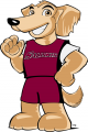 Southern Illinois Salukis 2006-2018 Mascot Logo 08 Sticker Heat Transfer
