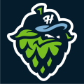 Hillsboro Hops 2013-Pres Cap Logo decal sticker