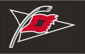Carolina Hurricanes 2008 09-2016 17 Jersey Logo decal sticker