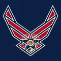 Airforce Florida Panthers logo decal sticker