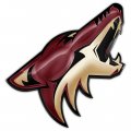 Arizona Coyotes Crystal Logo Sticker Heat Transfer