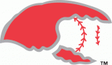 Hickory Crawdads 1993-2015 Secondary Logo decal sticker