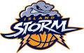 Island Storm 2013-Pres Primary Logo Sticker Heat Transfer