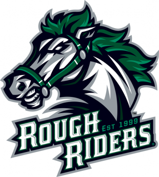 Cedar Rapids RoughRiders 2012 13 Primary Logo Sticker Heat Transfer