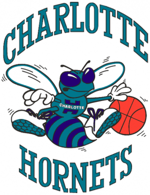 Charlotte Hornets 1988 89-2001 02 Primary Logo Sticker Heat Transfer
